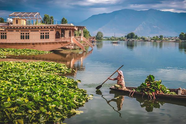Kashmir
